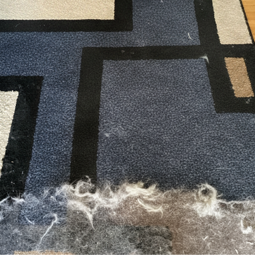 AG+® FurFree