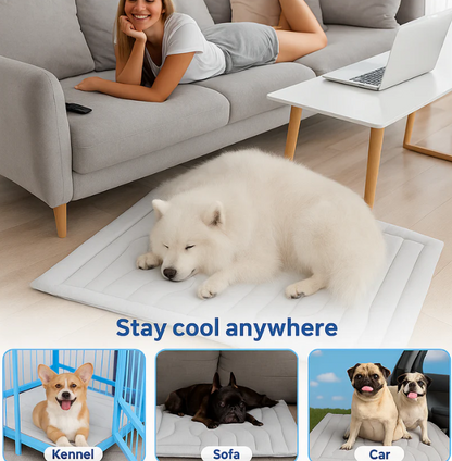 AG+® Cooling Mat